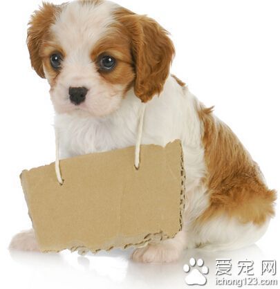 刻苦训练篮球时如何避免受伤的建议_1